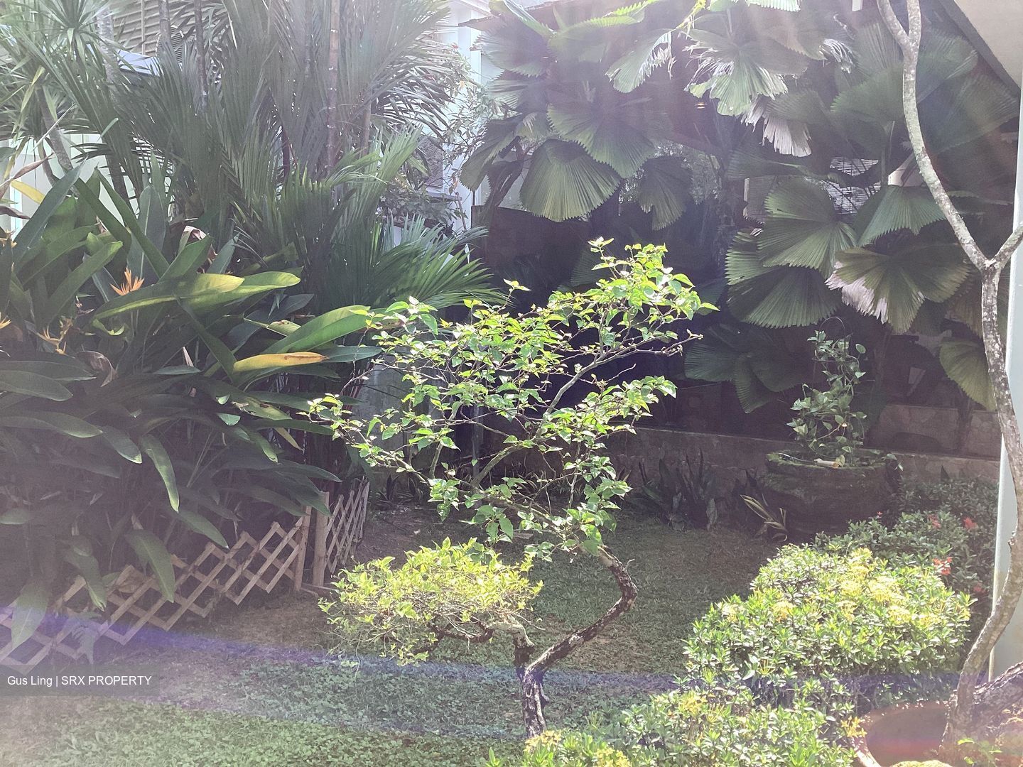 Henry Park (D10), Detached #511187361